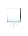 Ekran na statywie /1:1/ 152,4x152,4 MaxWhite / 85'''' white case - nr 1