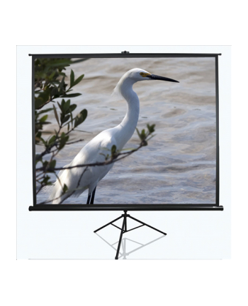 Ekran na statywie /4:3/ 182,9x243,8 MaxWhite / 120'''' black case / Cinema nr 1