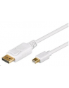 2m Mini Displayport  male -Displayport male, bulk cable - nr 2