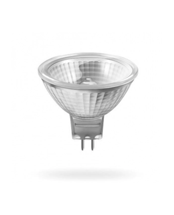 Żarówka halogenowa ACME 50W2000h3000KGU5.3/MR16DC12V nr 1