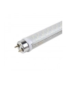 Żarówka ACME HP LED T8 S001 Transparent 8W80hG13 - nr 1
