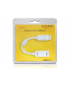 ADAPTER DISPLAYPORT(M)->HDMI(F) DELOCK - nr 15