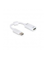 ADAPTER DISPLAYPORT(M)->HDMI(F) DELOCK - nr 17