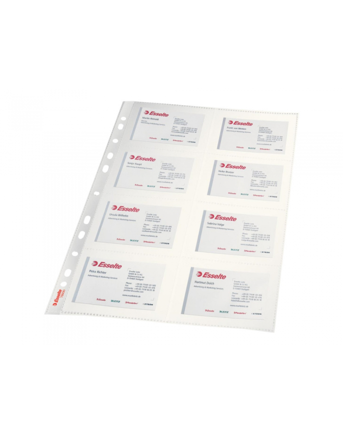 KOSZULKI NA 16 WIZYTOWEK ESSELTEM 10 SZT. główny