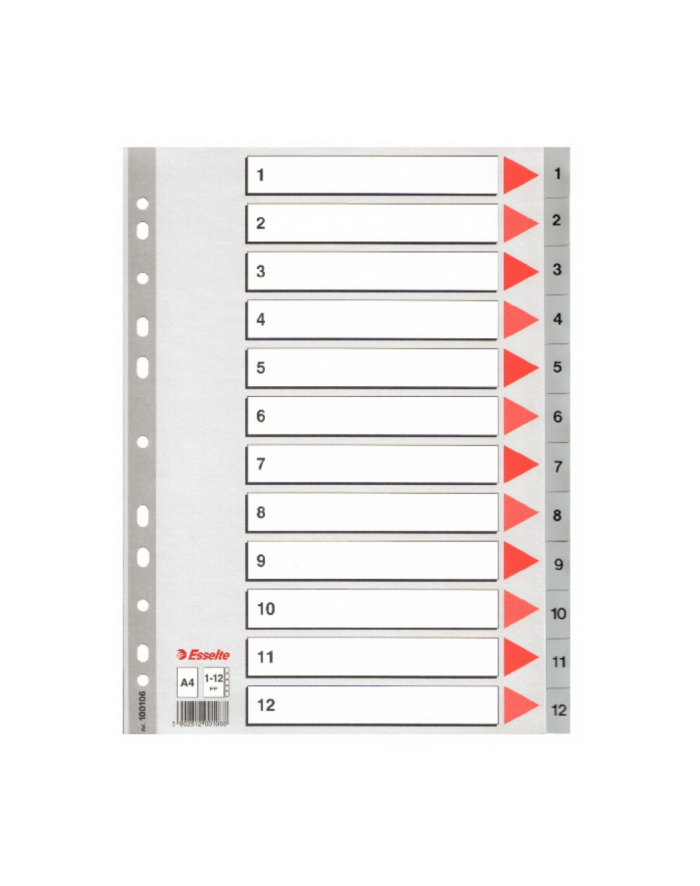 PZEKLADKI ESSELTE 1-12 SZARE PP główny