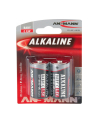 Bateria alkaliczna RED 2xC(LR14) - nr 13
