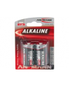 Bateria alkaliczna RED 2xC(LR14) - nr 2