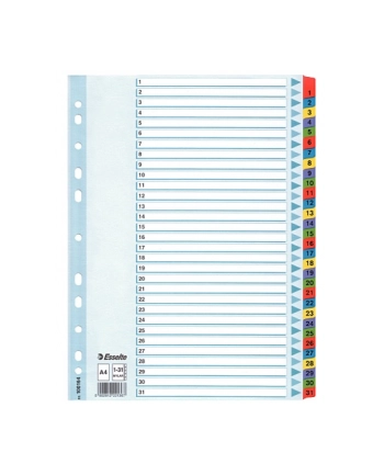 PZEKLADKI MYLAR ESSELTE 1-31 KARTONOWE,BIALE nr 1