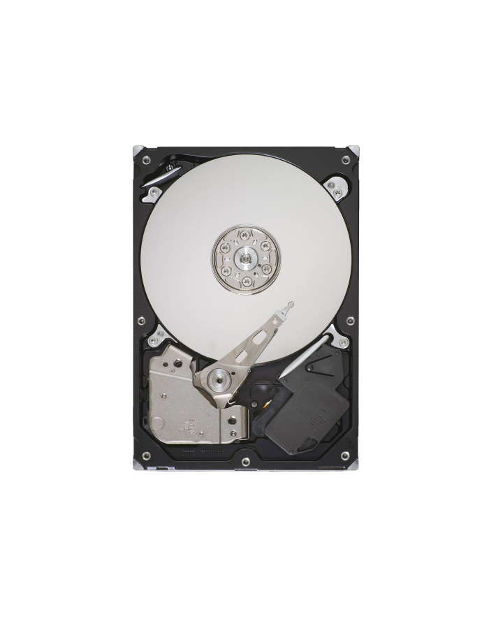 Dysk SEAGATE PIPELINE HD ST3320311CS 320GB 5900 8MB SATA główny