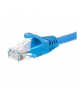 Netrack patchcord RJ45, osłonka zalewana, kat 5e UTP, 0.25m niebieski