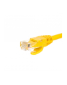 Netrack patchcord RJ45, osłonka zalewana, kat 5e UTP, 0.25m zółty - nr 9