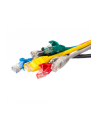 Netrack patchcord RJ45, osłonka zalewana, kat. 5e UTP, 0.5m niebieski - nr 12