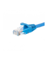 Netrack patchcord RJ45, osłonka zalewana, kat. 5e UTP, 0.5m niebieski - nr 8