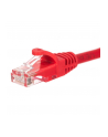 Netrack patchcord RJ45, osłonka zalewana, kat. 5e UTP, 15m czerwony - nr 16