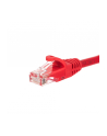 Netrack patchcord RJ45, osłonka zalewana, kat. 5e UTP, 15m czerwony - nr 8