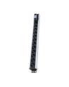 Intellinet Listwa zasilająca rack 19'' 230V/16A 12xEURO 3m - nr 41