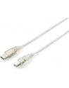 Equip AM-BM kabel USB 2.0, 3m, przeźroczysty, podwójny ekran - nr 15