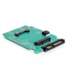 Delock Adapter SATA 22 pin > mSATA - nr 10