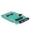 Delock Adapter SATA 22 pin > mSATA - nr 2
