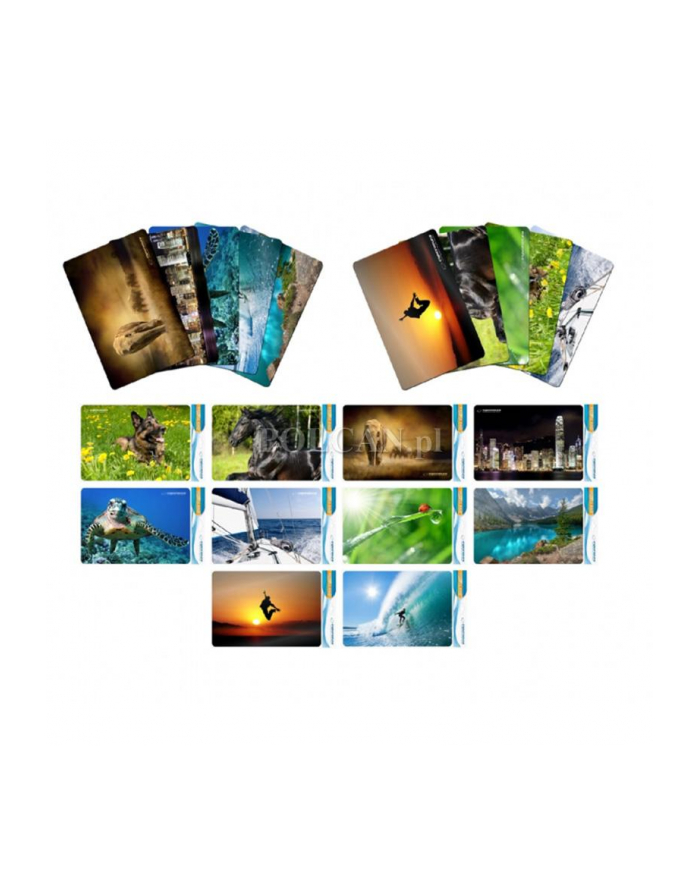 PODKŁADKA POD MYSZ 4 WZORY 20x24cm GR. 3mm główny