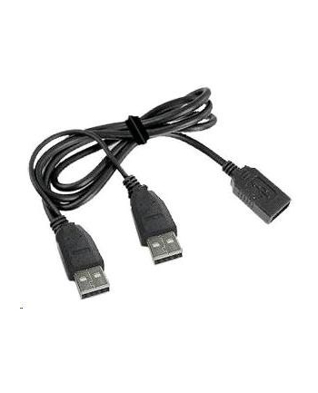 GEMBIRD Kabel USB 2.0 A-A 1m DUAL (dodatkowe zasilanie)