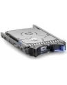 IBM HDD Express 300GB 10K SFF SAS - nr 10
