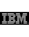 IBM HDD Express 300GB 10K SFF SAS - nr 14
