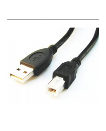 GEMBIRD Kabel USB 2.0 A-B 3m Premium (czarny, ferrytowe, pozłacane styki) nr 2