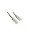 GEMBIRD Kabel UTP Cat5e Patch 5m, szary - nr 3