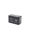 Gembird akumulator uniwersalny 12V/7AH - nr 4