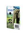 Tusz Epson T2421 Black | 5,1 ml - nr 11