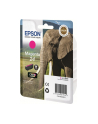 Tusz Epson T2423 magenta | 4,6 ml - nr 19