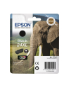 Tusz Epson  T2431 Black XL | 10,0 ml - nr 24