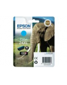 Tusz Epson T2432 cyan XL | 8,7 ml - nr 6