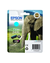 Tusz Epson T2432 cyan XL | 8,7 ml - nr 14