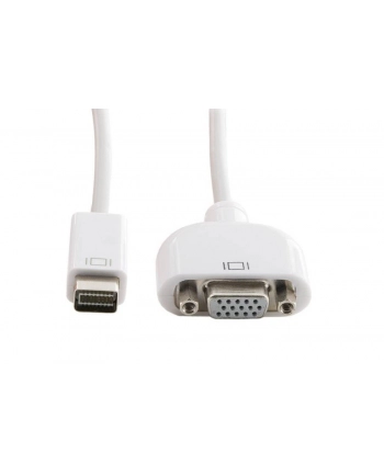 4World Adapter Mini DVI - VGA M/F męski/żenski nr 1