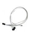 ADAPTEC kabel ACK-I-HDmSAS-4SATA-SB 0.8M - nr 10