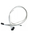ADAPTEC kabel ACK-I-HDmSAS-4SATA-SB 0.8M - nr 18