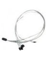 ADAPTEC kabel ACK-I-HDmSAS-4SATA-SB 0.8M - nr 38
