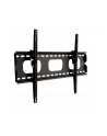 UCHWYT DO LCD/LED 32-60  ART AR-18 - nr 10