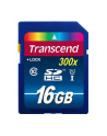 Transcend karta pamięci SDHC 16GB Class 10 UHS-I - nr 16