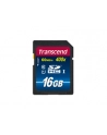 Transcend karta pamięci SDHC 16GB Class 10 UHS-I - nr 10