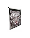 Elite Screens M150XWH2 Manual Pull Down Screen 150'' 16:9 / Diagonal 381cm, W 332cm x H 186.7cm / White case / 160° view angle / MaxWhite material / Gain 1.1 / Dual wall and ceiling installation / Auto-locking system - nr 11