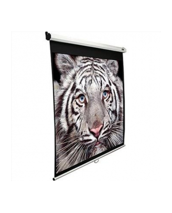 Elite Screens M120XWH2-E24 Manual Pull Down Screen 120'' 16:9 /