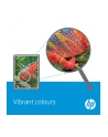 Toner CP2025 YEL. CC532A 2.8K CP2025/CM2320 - nr 38