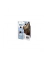 Tusz czarny B40W/BX600F C13T10014010 - nr 23