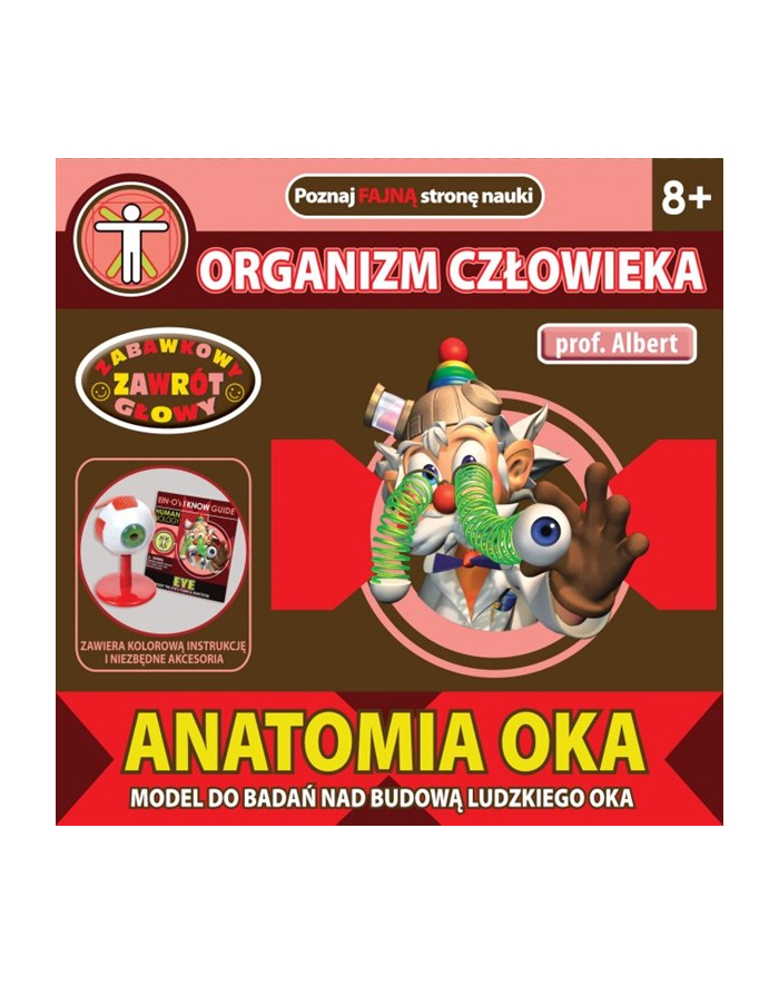 DROMADER Prof. Albert Anatomia Oka główny