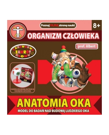 DROMADER Prof. Albert Anatomia Oka nr 2
