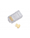 ALANTEC RJ45 wtyk STANDARD(drut+linka) UTP kat.5e op=100szt - nr 2