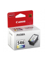 Tusz Canon CL-546 color | PIXMA MG2450 - nr 24